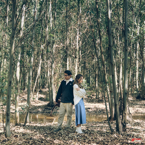 album ต้องลืมหรือต้องรอ